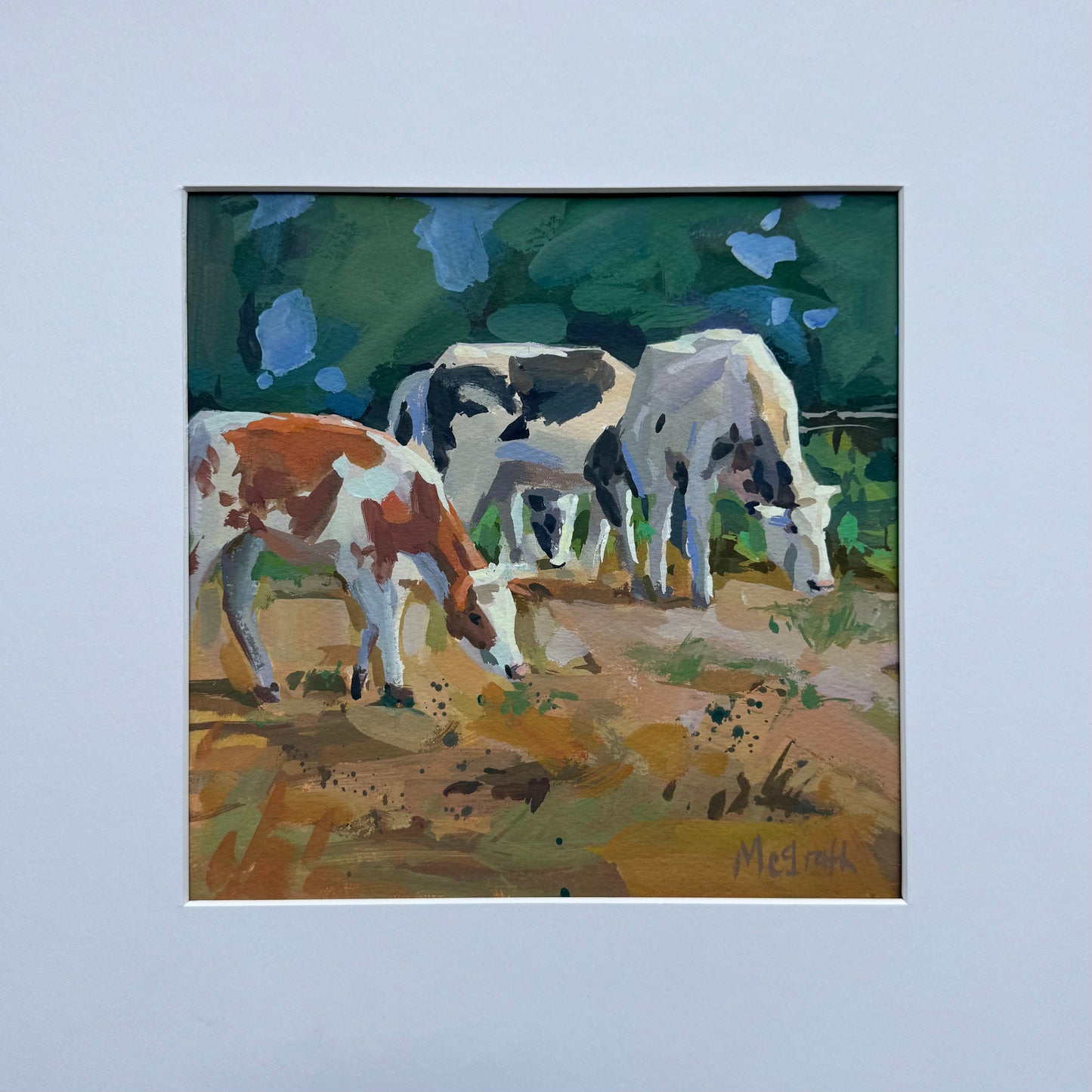 Cows