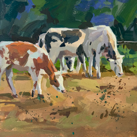 Cows