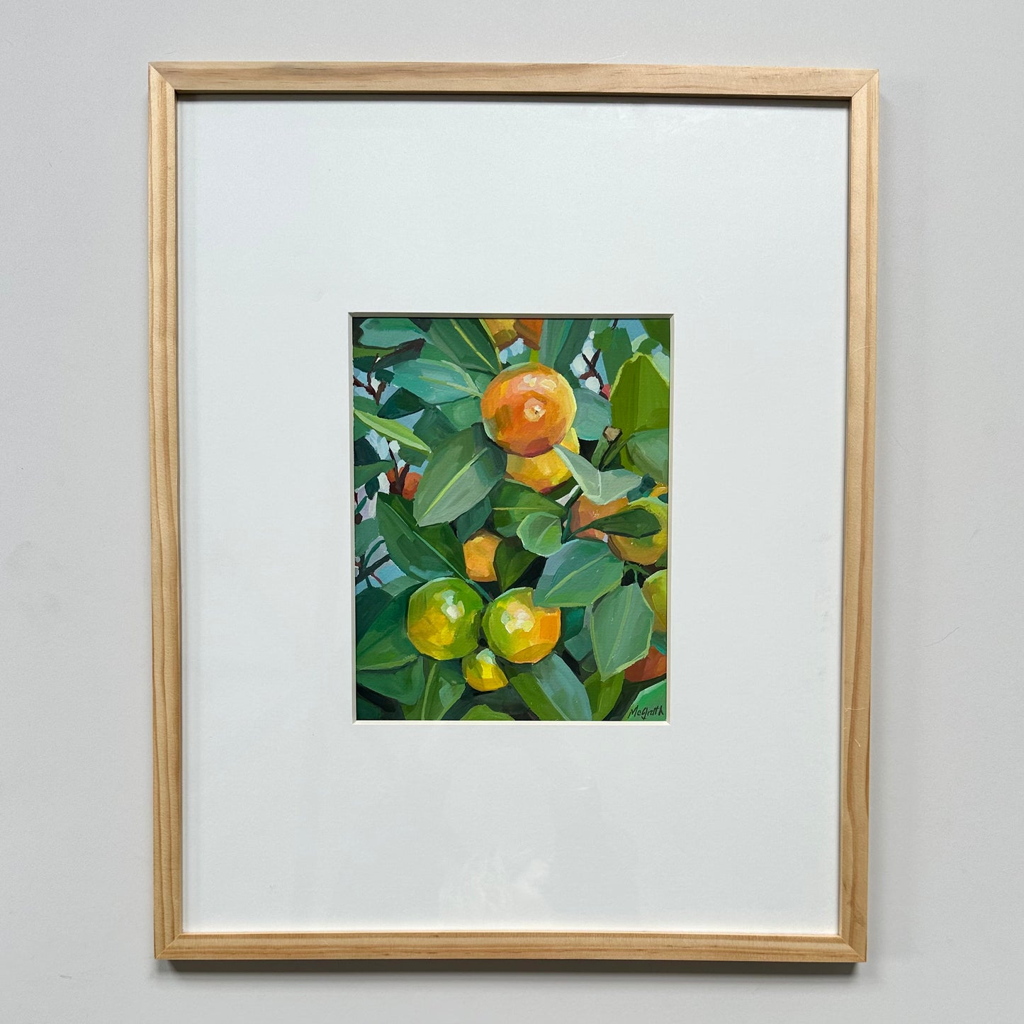 Kumquat Tree