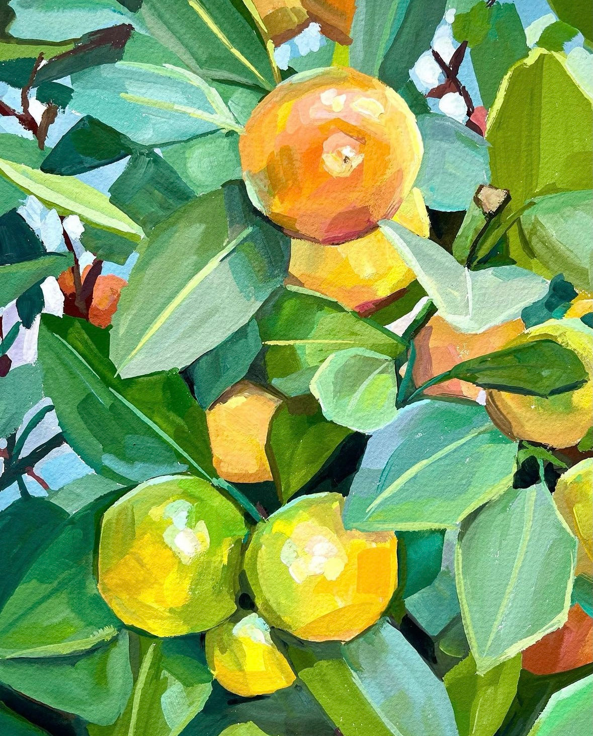 Kumquat Tree