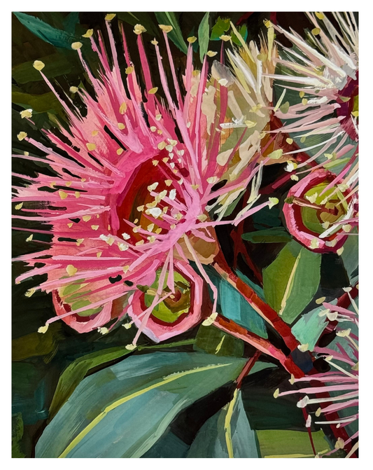 Gum Blossom Print