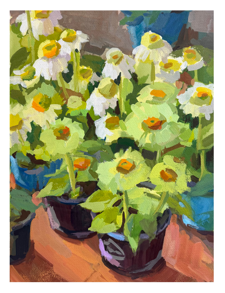 Nursery Blooms